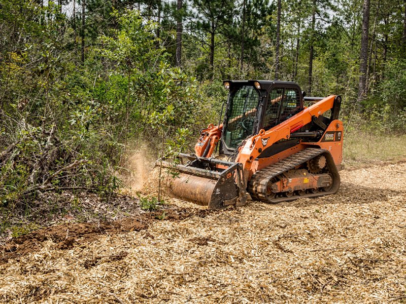 Forestry mulching of brush and small trees in Charlotte, NC